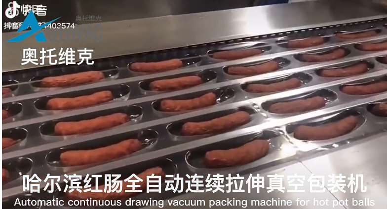 哈爾濱紅腸拉伸膜真空包裝機